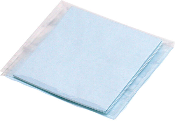 Thermo Scientific Owl Immobilon-P PVDF Membrane, 15 x 15 cm (Pkg of 10)