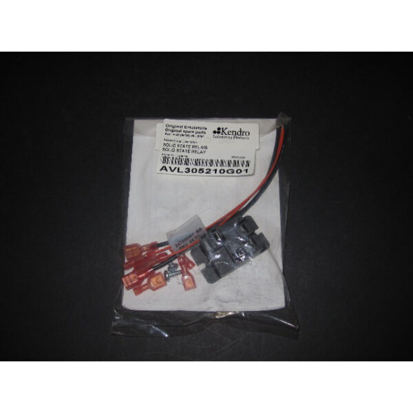 Thermo Scientific SERVICE KIT,.3 SSR REPLACEMENT