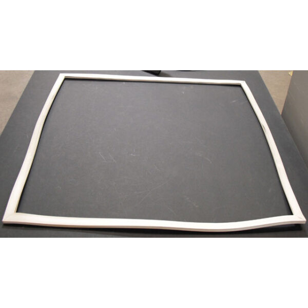 Thermo Scientific GASKET RPO 3/09